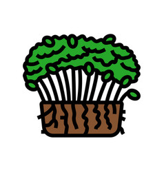 Broccoli Microgreen Color Icon