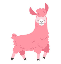 Pink Lama Cute Baby Girl Alpaca Character