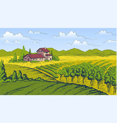 Vineyard Landscape Concept