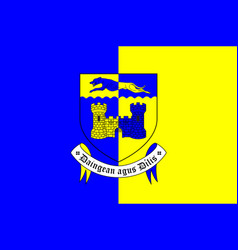 Flag County Longford In Ireland