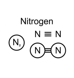 Molecular Model Of Nitrogen N2 Chemical Molecule