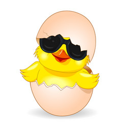 Cute Chicken In Black Sunglasses