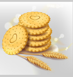 Biscuit Cookies Or Whole Wheat Cracker