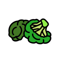 Broccoli Fresh Color Icon