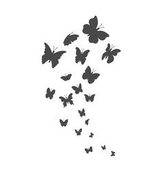 Butterfly Flight