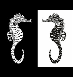 Seahorse