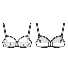 Sheer Bra Lingerie Technical Fashion