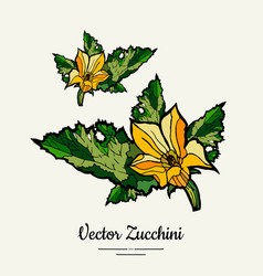 Zucchini Flower Hand Drawn Hipster