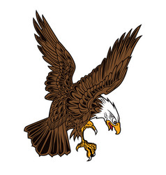 Eagle wing ribbon hawk Royalty Free Vector Image