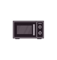 Microwave Oven Flat Isolated