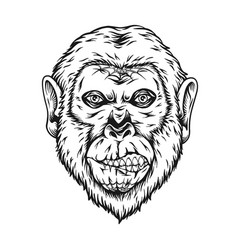 Zombie Monkey Haunting Nightmare Monochrome