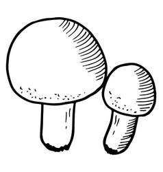 Mushroom Engraving Hand Drawn Forest Fungus