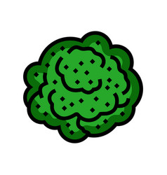 Broccoli Plant Color Icon