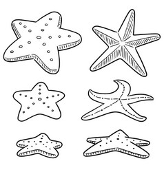Set starfish Royalty Free Vector Image - VectorStock