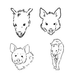 Hand Drawn Doodle Sketch Hyena Isolated On White