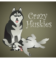 Two Funny Crazy Huskies