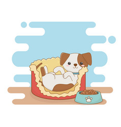 Cute Little Dog Mascot In Bed With Food