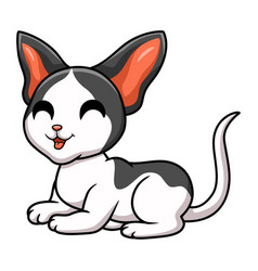 Cute Oriental Cat Cartoon Lying Down