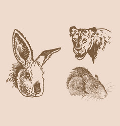 Graphical Vintage Set Of Animals Portraits