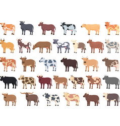 Breeding Cows Icons Set Cartoon Dairy Milk