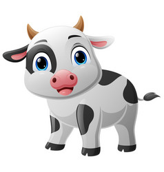 Cute Baby Cow Cartoon On White Background