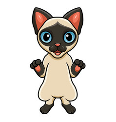 Cute Siamese Cat Cartoon Standing