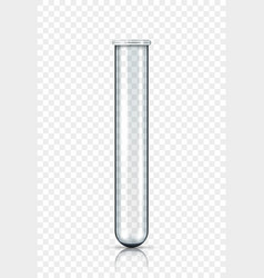 Empty Laboratory Test Tube