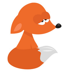 Sad Fox On White Background