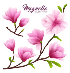 Realistic Magnolia Flower Icon Set