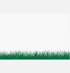 Grass Lawn On Transparent Background