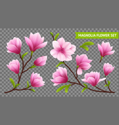 Realistic Magnolia Flower Transparent Icon Set