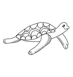 Turtle Linear Simple Drawing Side View Cute Animal