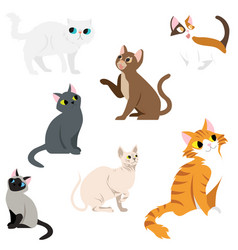 Set Of Cats