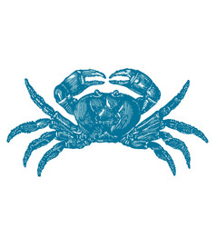 A Crab Vintage Engraving Style