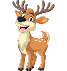 Cartoon Deer On White Background