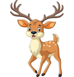 Cartoon Deer On White Background