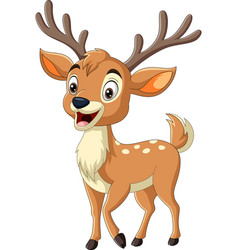 Cartoon Deer On White Background