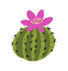 Cactus Cartoon And Hand Drawn Style Isolated