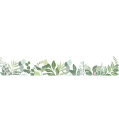 Art Border Made From Eucalyptus Branches Leaves