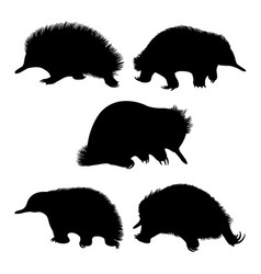 Echidna Wild Animal Silhouettes