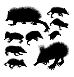 Lowland Streaked Tenrec Animal Silhouettes