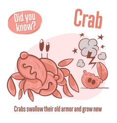 Interesting Facts About Crab Did You Know