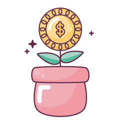 Cute Money Plant