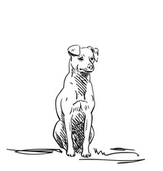 Dog Sitting Looking Calm Drawing Hand Drawn