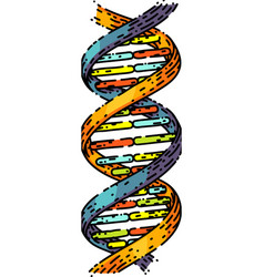 Dna Science Sketch Hand Drawn