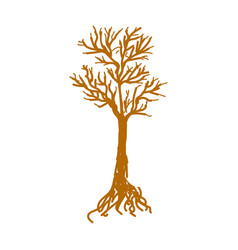 A Tree Without Leaves With Roots