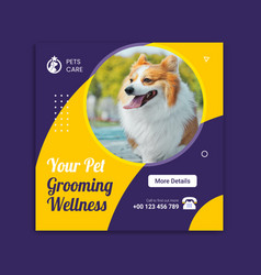 Pet Store Social Media Promotion Instagram Banner