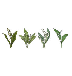 Lily Of The Valley May Birth Flower Art