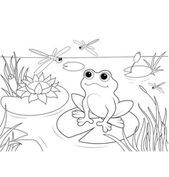 Wetland Landscape With Animals Coloring Book