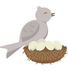 Bird With Eggs In The Nest Isolated